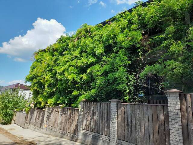 Гостевой дом Мама Джан Архипо-Осиповка-81