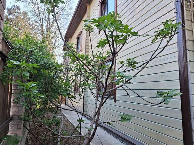 Гостевой дом Мама Джан Архипо-Осиповка-13